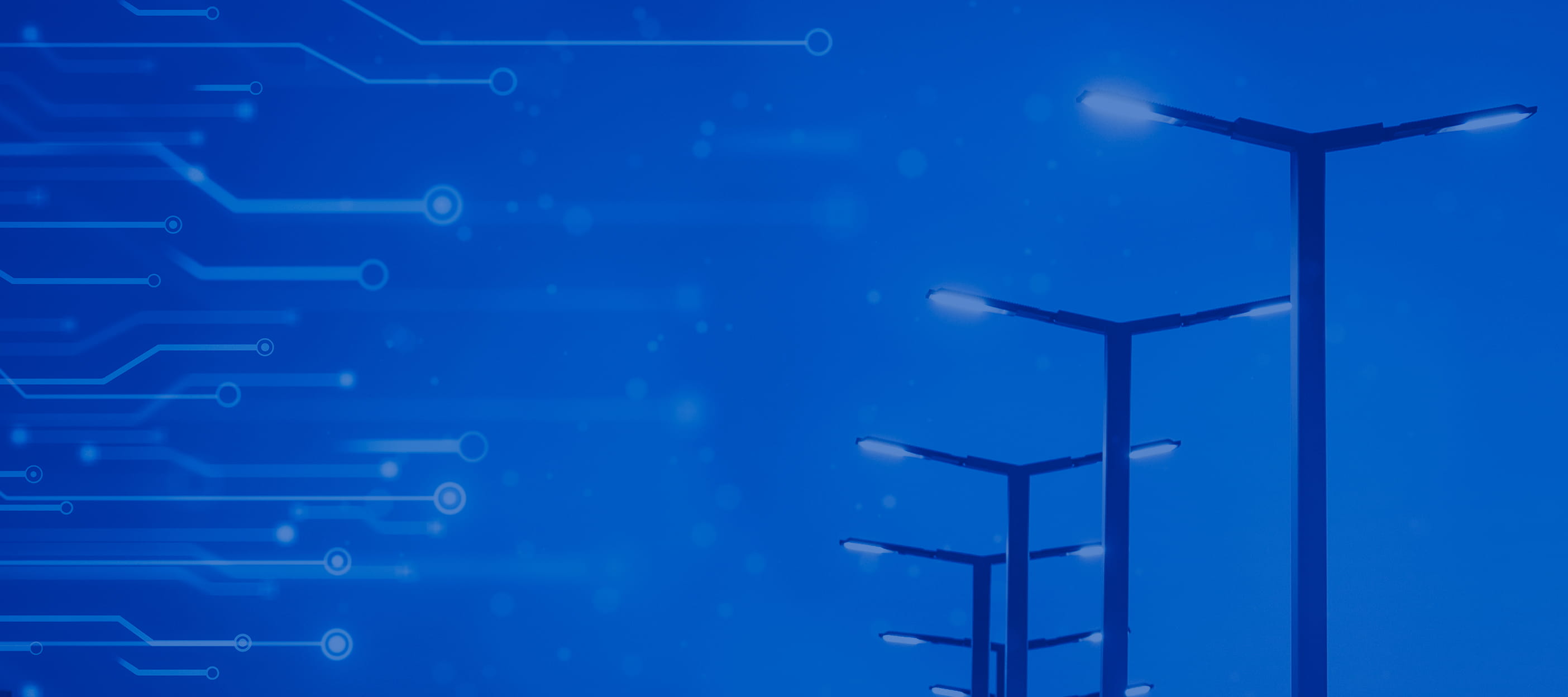 sitting laptop table large bird plane light flock lot flying airplane group traffic water computer