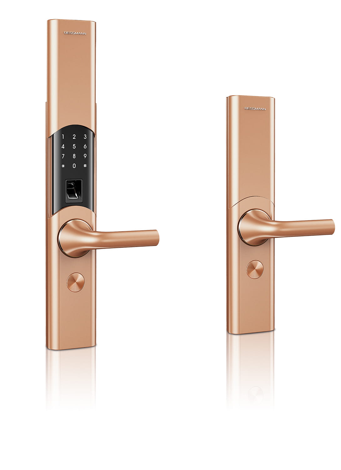 DESSMANN (China) Machinery & Electronic Co., Ltd  "T86-NB Smart Lock"