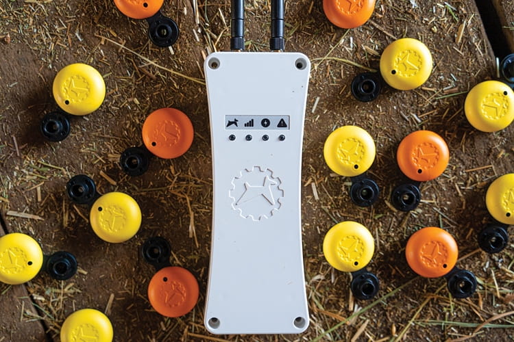 HERDDOG.jpg HerdDogg