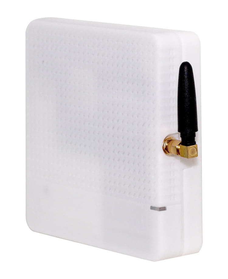 Coral_Sense.jpg Coral Sense