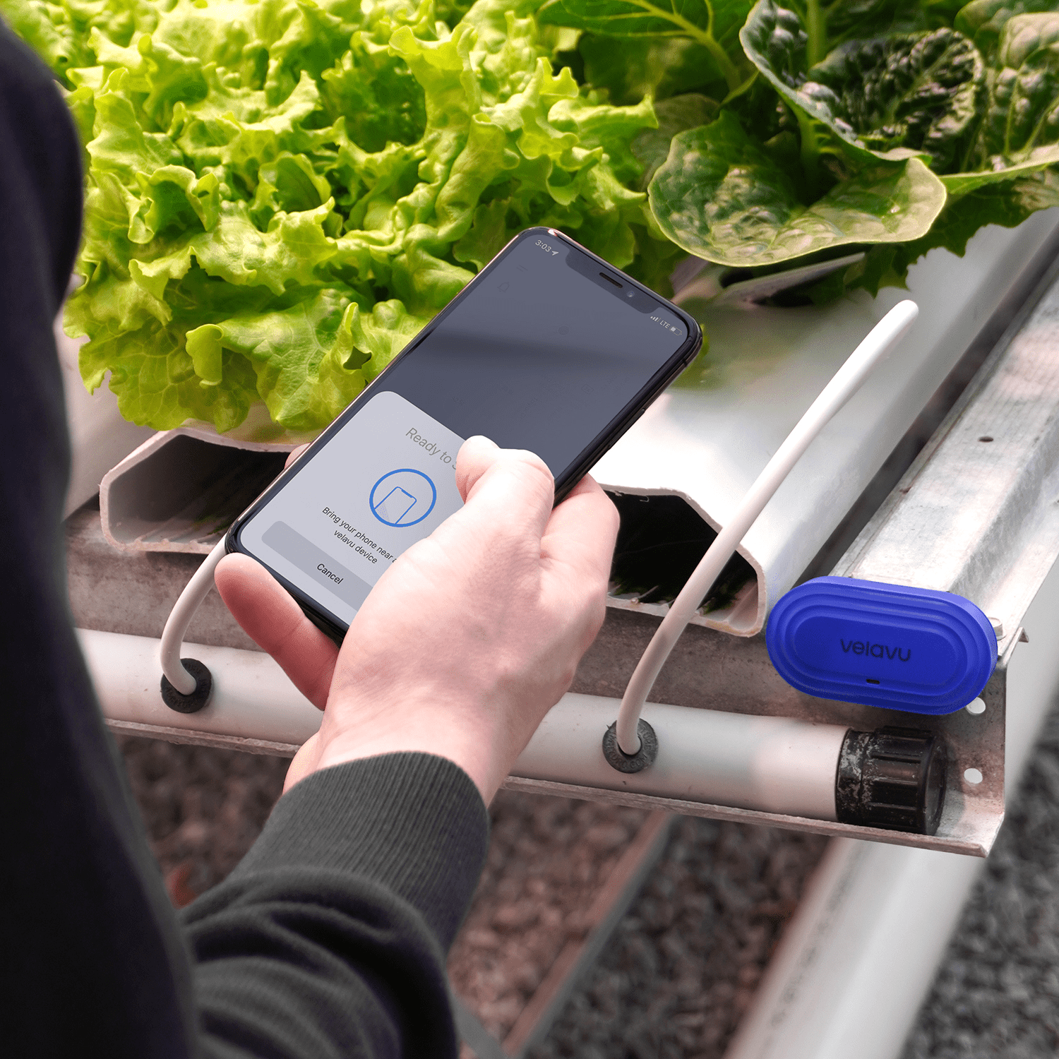 Velavu's asset tag Arda is being configurated on mobile  