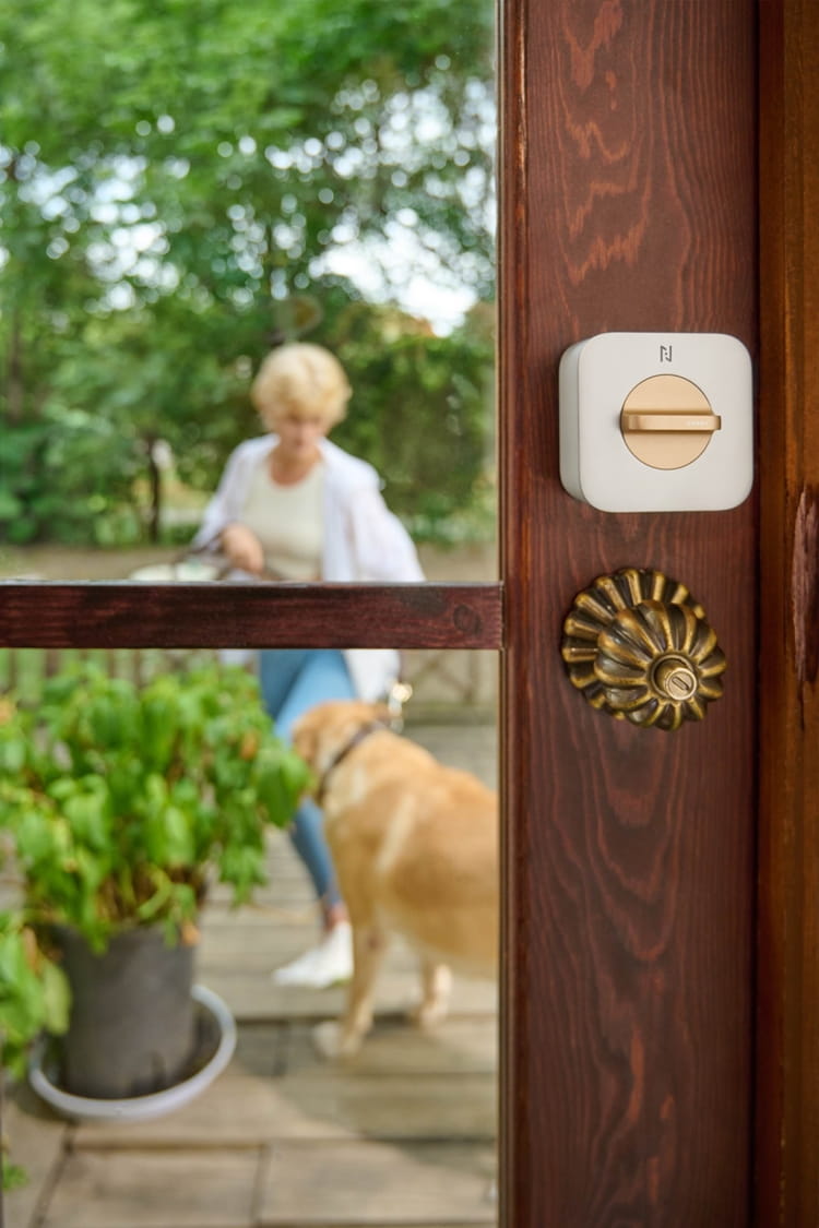 NS_Anona-1.jpg dog building standing small looking table front holding sitting man wooden woman door brown mirror people cat sign phone window