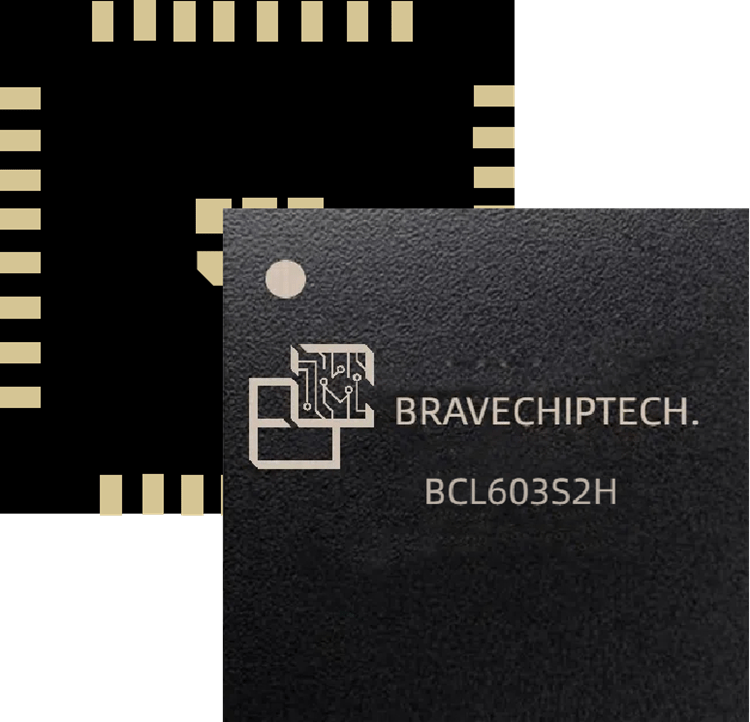 NS_Bravechip_Print.png graphical user interface